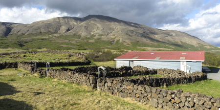 Sörli Hestamannafélag, Íþrótt, Lífstíll