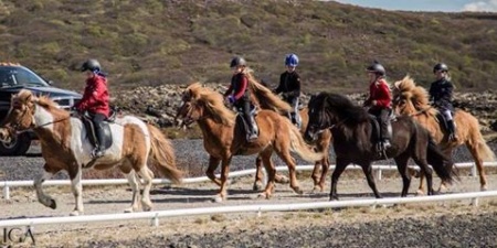 Pollar, Pollagæðingakeppni, Á braut
