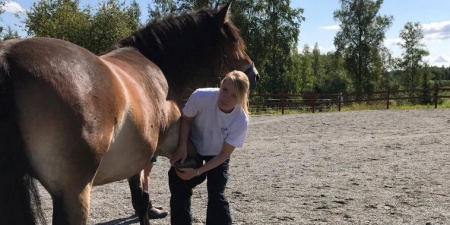 Sörli Hestamannafélag, Íþrótt, Lífstíll