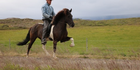 Sörli Hestamannafélag, Íþrótt, Lífstíll