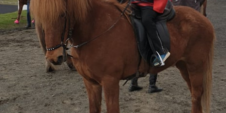 Sörli Hestamannafélag, Íþrótt, Lífstíll