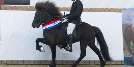 Sörli Hestamannafélag, Íþrótt, Lífstíll