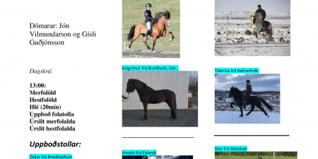 Sörli Hestamannafélag, Íþrótt, Lífstíll