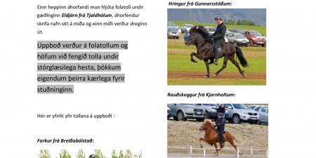 Sörli Hestamannafélag, Íþrótt, Lífstíll