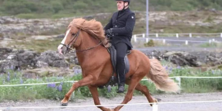 Sörli Hestamannafélag, Íþrótt, Lífstíll