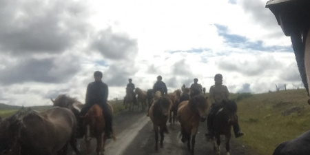 Sörli Hestamannafélag, Íþrótt, Lífstíll