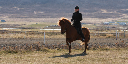 Sörli Hestamannafélag, Íþrótt, Lífstíll
