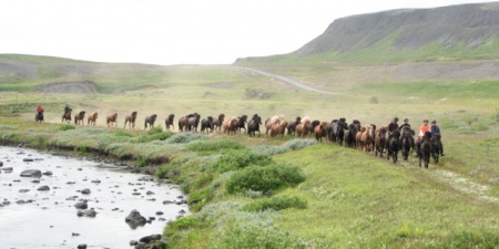 Sörli Hestamannafélag, Íþrótt, Lífstíll