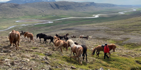 Sörli Hestamannafélag, Íþrótt, Lífstíll