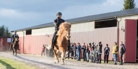 Sörli Hestamannafélag, Íþrótt, Lífstíll
