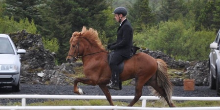 Sörli Hestamannafélag, Íþrótt, Lífstíll