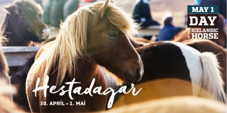 Sörli Hestamannafélag, Íþrótt, Lífstíll