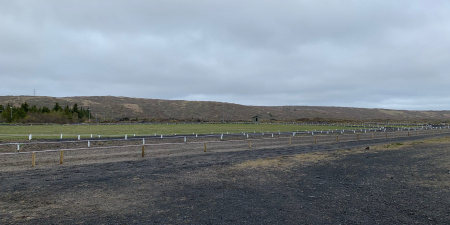 Sörli Hestamannafélag, Íþrótt, Lífstíll