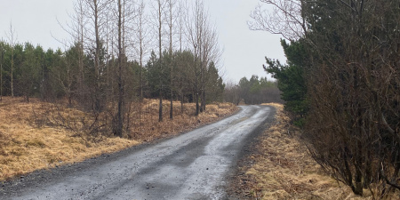 Sörli Hestamannafélag, Íþrótt, Lífstíll