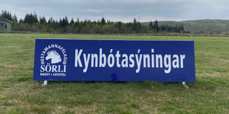 Sörli Hestamannafélag, Íþrótt, Lífstíll