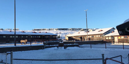 Sörli Hestamannafélag, Íþrótt, Lífstíll