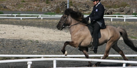 Sörli Hestamannafélag, Íþrótt, Lífstíll