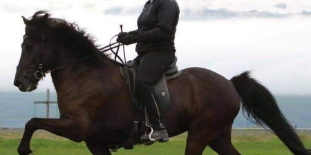 Sörli Hestamannafélag, Íþrótt, Lífstíll