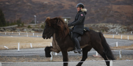 Sörli Hestamannafélag, Íþrótt, Lífstíll