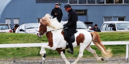 Sörli Hestamannafélag, Íþrótt, Lífstíll