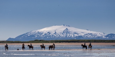 Sörli Hestamannafélag, Íþrótt, Lífstíll