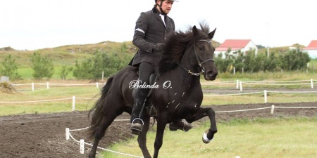 Sörli Hestamannafélag, Íþrótt, Lífstíll