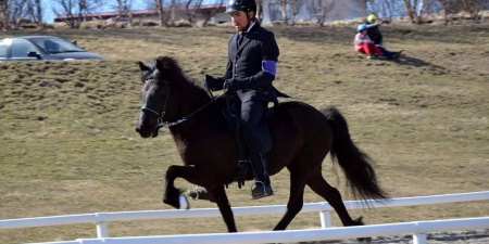 Sörli Hestamannafélag, Íþrótt, Lífstíll
