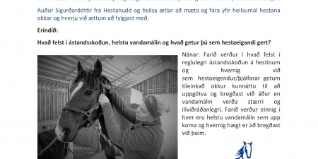 Sörli Hestamannafélag, Íþrótt, Lífstíll
