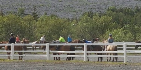 Sörli Hestamannafélag, Íþrótt, Lífstíll