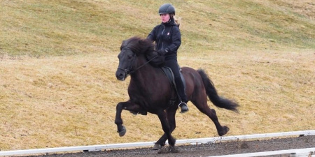 Sörli Hestamannafélag, Íþrótt, Lífstíll