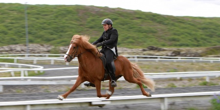Sörli Hestamannafélag, Íþrótt, Lífstíll