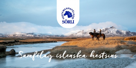 Sörli Hestamannafélag, Íþrótt, Lífstíll