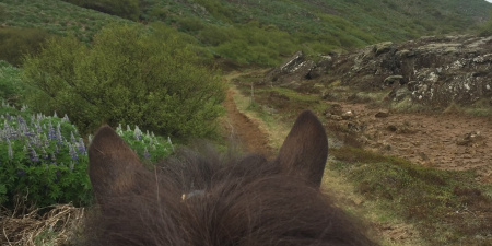 Sörli Hestamannafélag, Íþrótt, Lífstíll