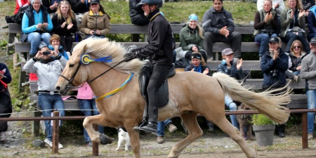 Sörli Hestamannafélag, Íþrótt, Lífstíll
