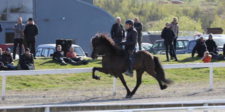 Sörli Hestamannafélag, Íþrótt, Lífstíll