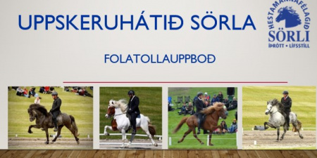 Sörli Hestamannafélag, Íþrótt, Lífstíll