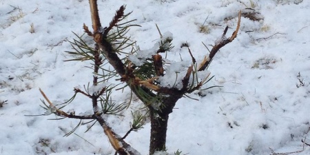 Sörli Hestamannafélag, Íþrótt, Lífstíll