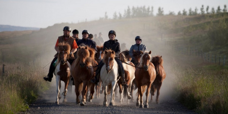 Sörli Hestamannafélag, Íþrótt, Lífstíll