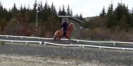Sörli Hestamannafélag, Íþrótt, Lífstíll