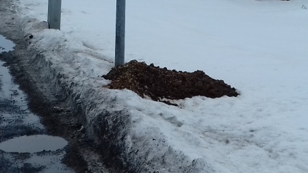 Sörli Hestamannafélag, Íþrótt, Lífstíll