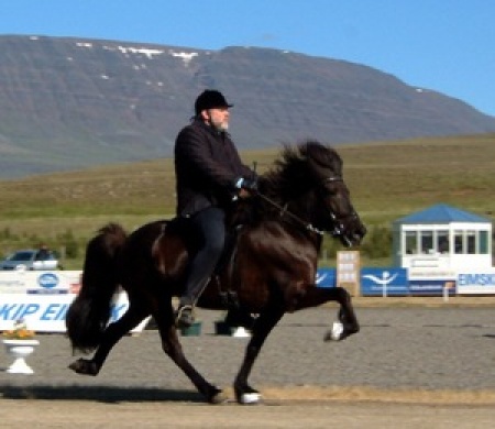Sörli Hestamannafélag, Íþrótt, Lífstíll