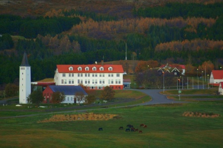 Sörli Hestamannafélag, Íþrótt, Lífstíll