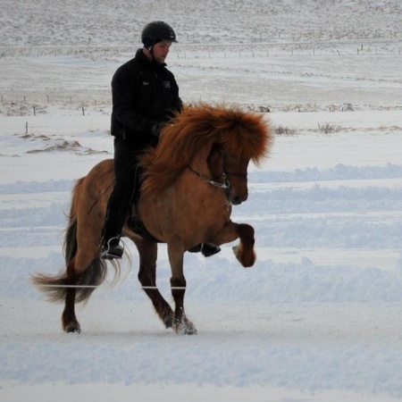 Sörli Hestamannafélag, Íþrótt, Lífstíll