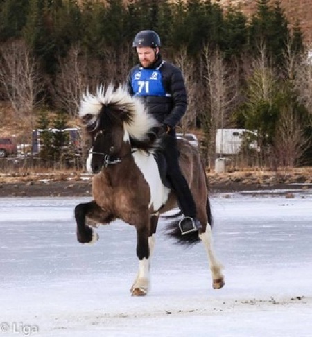 Sörli Hestamannafélag, Íþrótt, Lífstíll