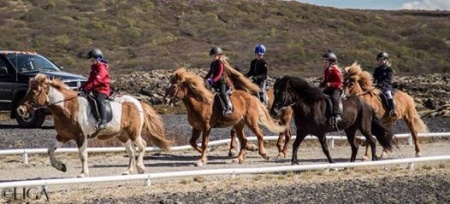 Pollar, Pollagæðingakeppni, Á braut