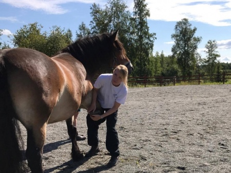 Sörli Hestamannafélag, Íþrótt, Lífstíll
