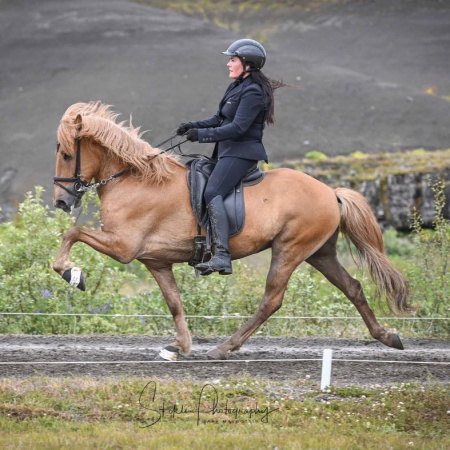 Sörli Hestamannafélag, Íþrótt, Lífstíll