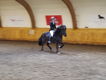 Sörli Hestamannafélag, Íþrótt, Lífstíll