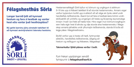 Sörli Hestamannafélag, Íþrótt, Lífstíll