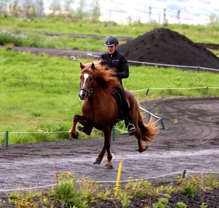 Sörli Hestamannafélag, Íþrótt, Lífstíll